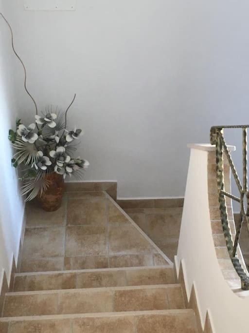 Casa Vacanza Gargano Carpino Ngoại thất bức ảnh